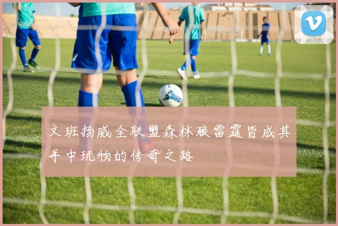 文班扬威全联盟森林狼雷霆皆成其手中玩物的传奇之路
